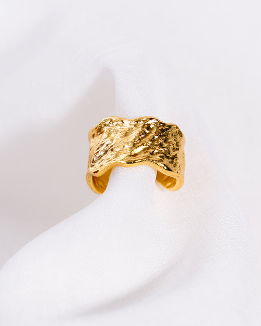 Grubaus paviršiaus žiedas pagamintas iš aukso ir sidabro.